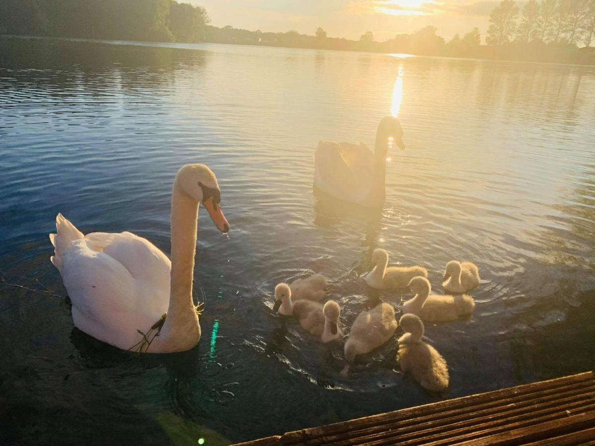 Lakeside Retreat 3 With Hot Tub, Private Fishing Peg Situated At Tattershall Lakes Country Park Extérieur photo